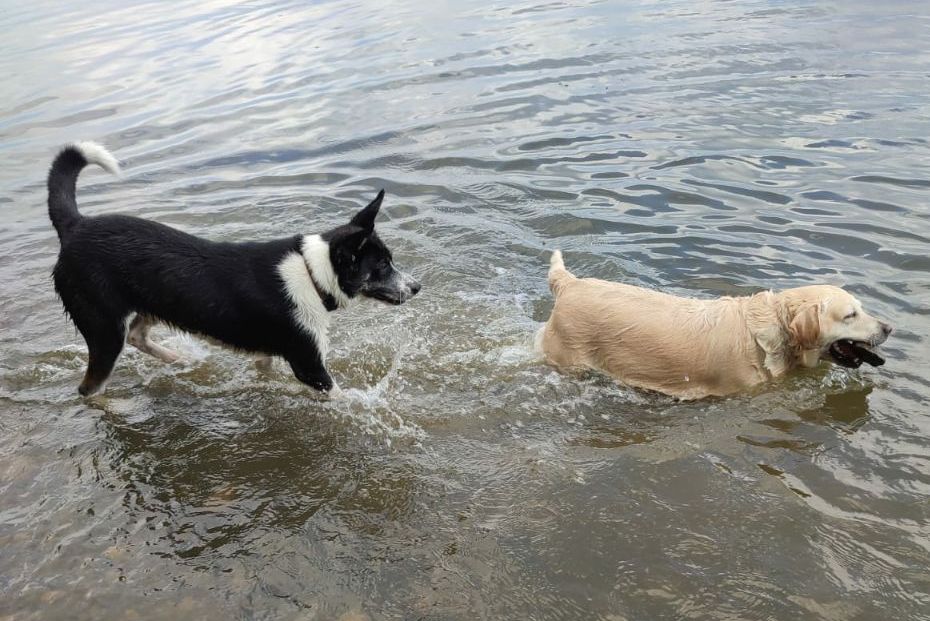 Ивана Купала Щелканова
