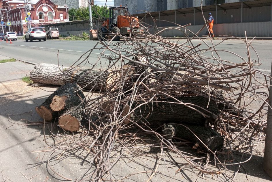 Вырубка деревьев на Горького 23 07 2025