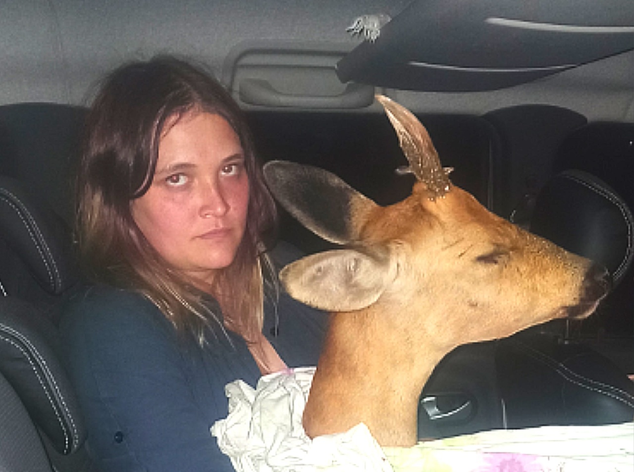 Раненая косуля и Ксения Гаврилова