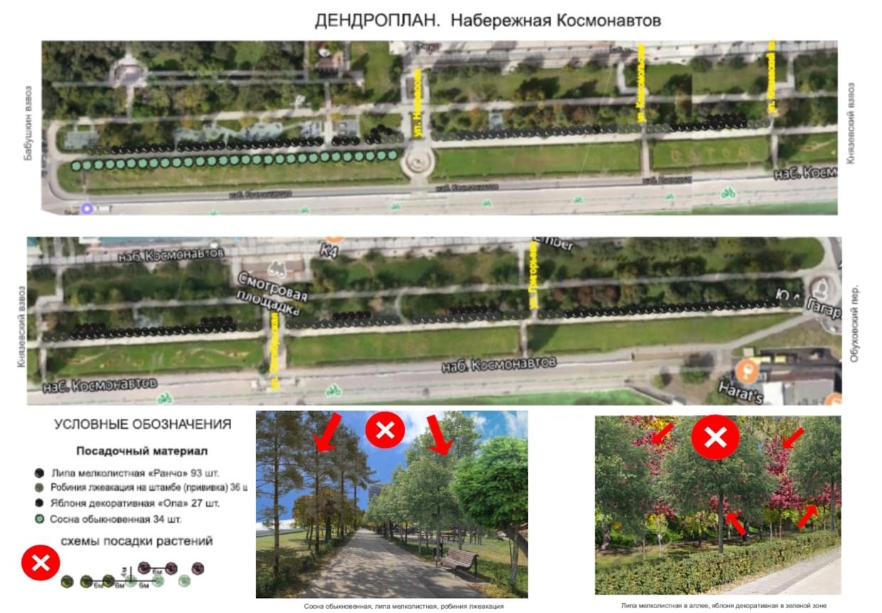 Рекомендации по озеленению набережной Саратова 2