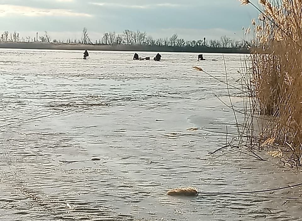 Волга в районе Ровного