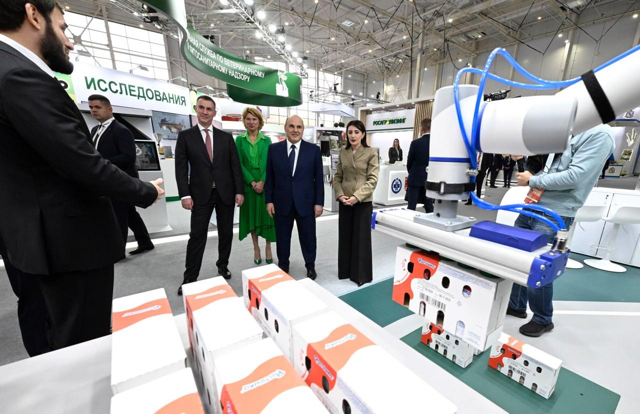 Выставка Золотая осень 2025 2