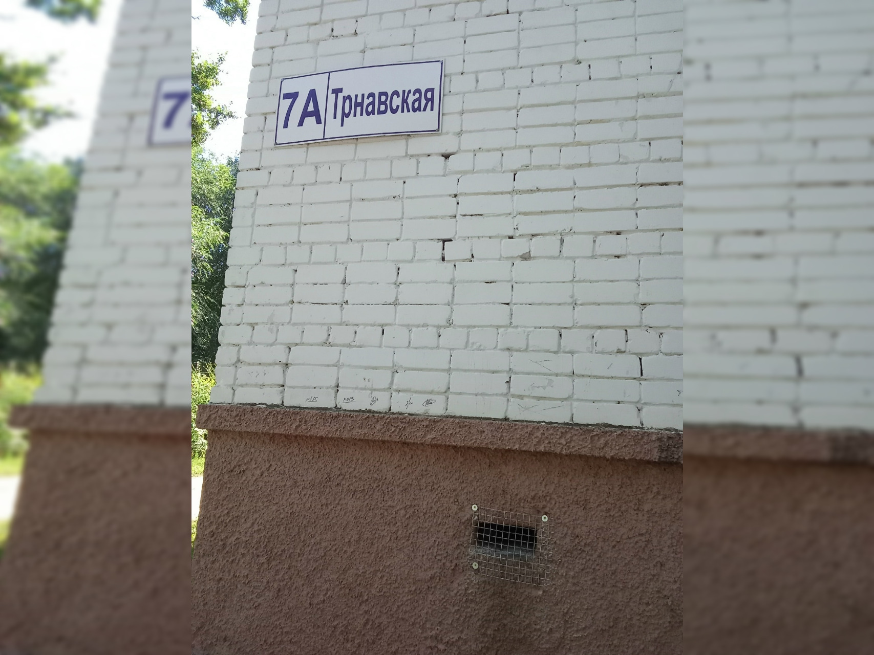 В балаковской пятиэтажке заживо замуровали кошачью семью