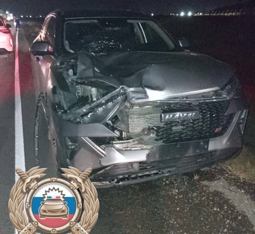 В Саратовской области под колесами автомобиля Haval погиб мужчина