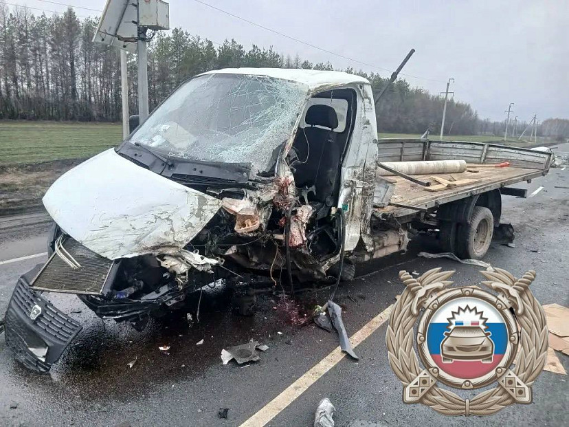 На саратовской трассе «ГАЗель» не разъехалась с фурой: один из водителей в больнице