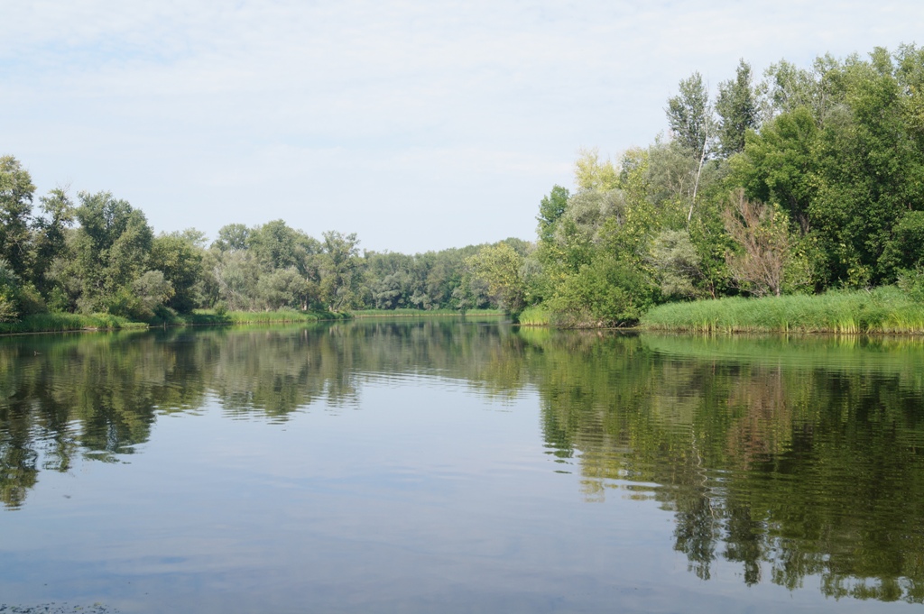 В Саратовской области утонул купавшийся в реке 63-летний мужчина