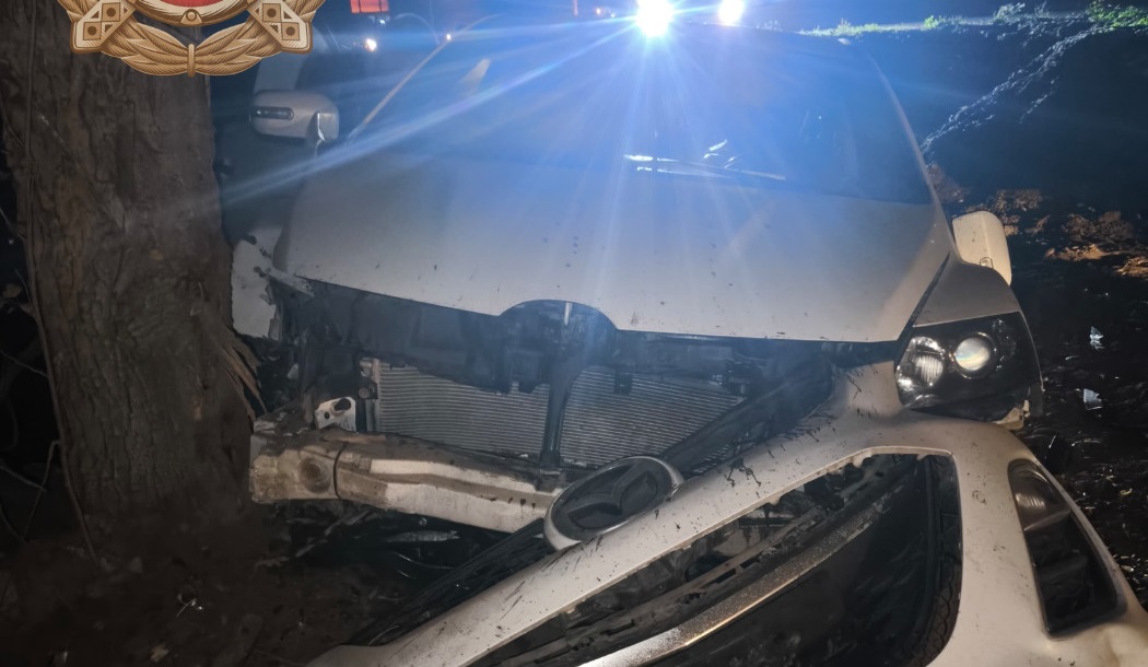 Под Саратовом водитель Mazda влетел в дерево и попал в больницу