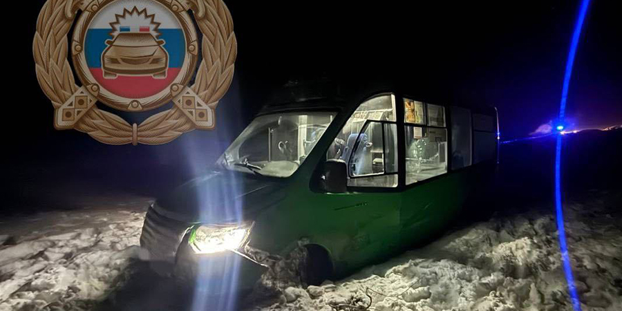 В Саратовской области микроавтобус вылетел в кювет, есть пострадавшие