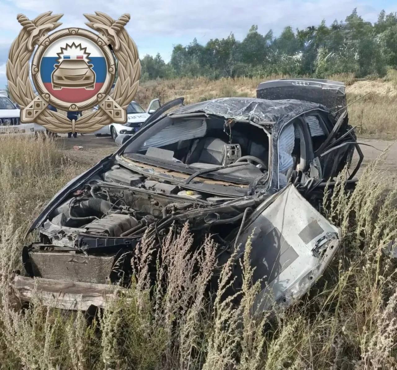 В Саратовской области разбился насмерть водитель на Audi