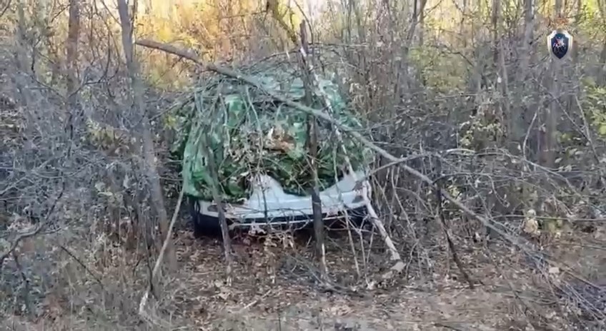 Видео с места убийства похищенной Натальи Алешниковой опубликовали саратовские следователи