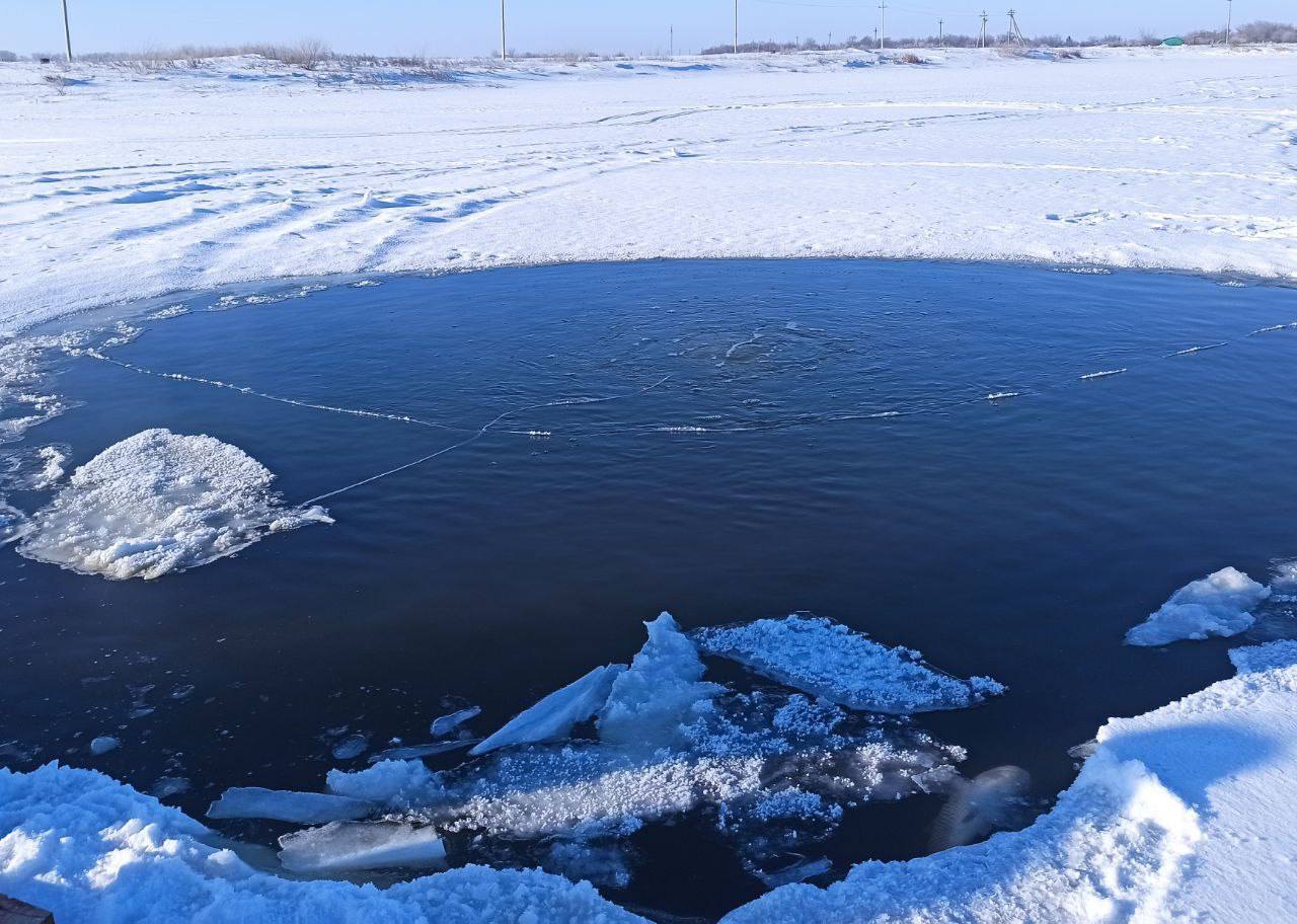 Саратовский сельчанин утонул в пруду