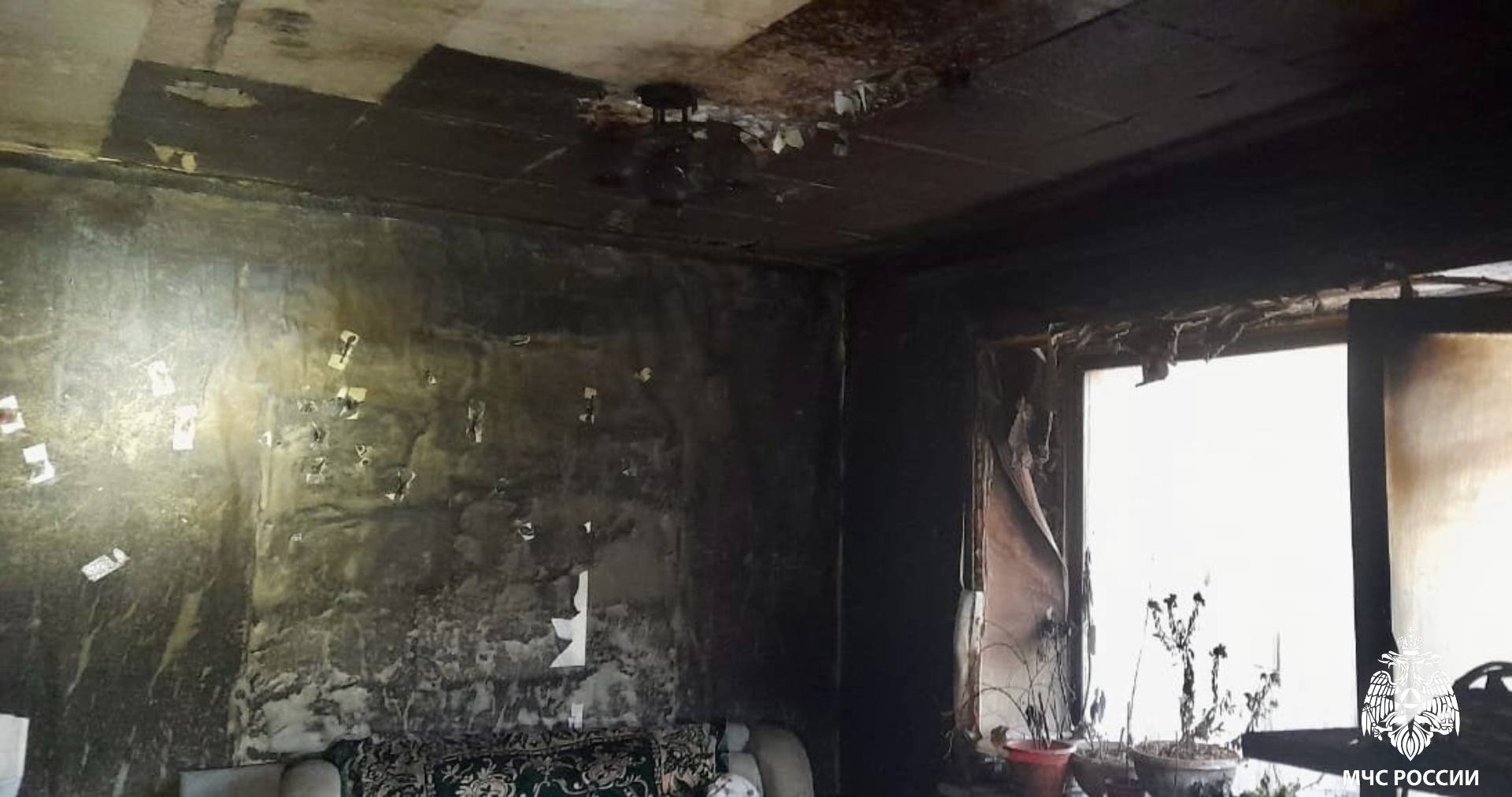 Включенный телевизор спалил частный дом в саратовском селе