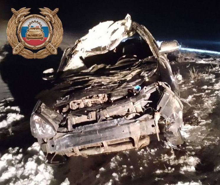 Парень на "Приоре" сбил лошадь в Саратовской области