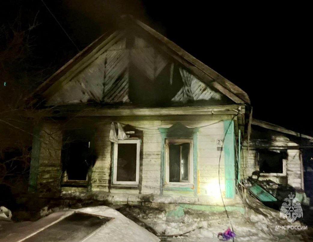 На пожаре под Саратовом погибли кошки, попугай и шиншилла На пожаре под Саратовом погибли кошки, попугай и шиншилла