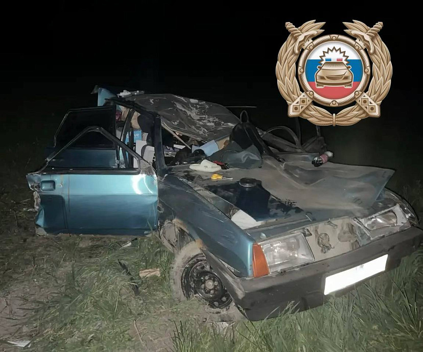 Двое молодых саратовцев получили травмы после встречи с лосем