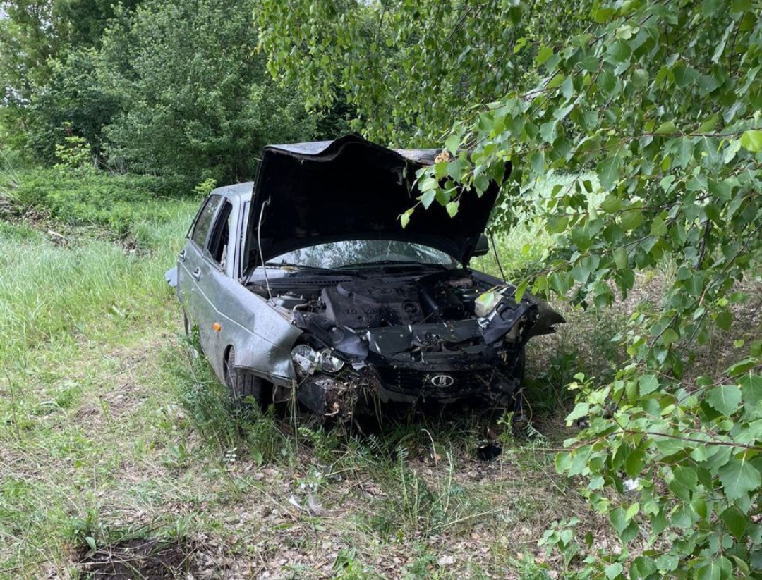 В Саратовской области автоледи улетела с трассы в посадки и попала в больницу