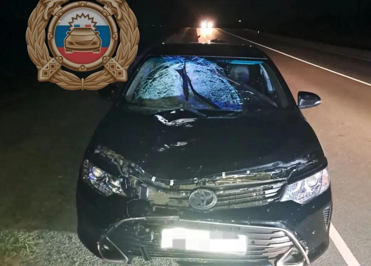 Под Саратовом Toyota Camry насмерть сбила пешехода